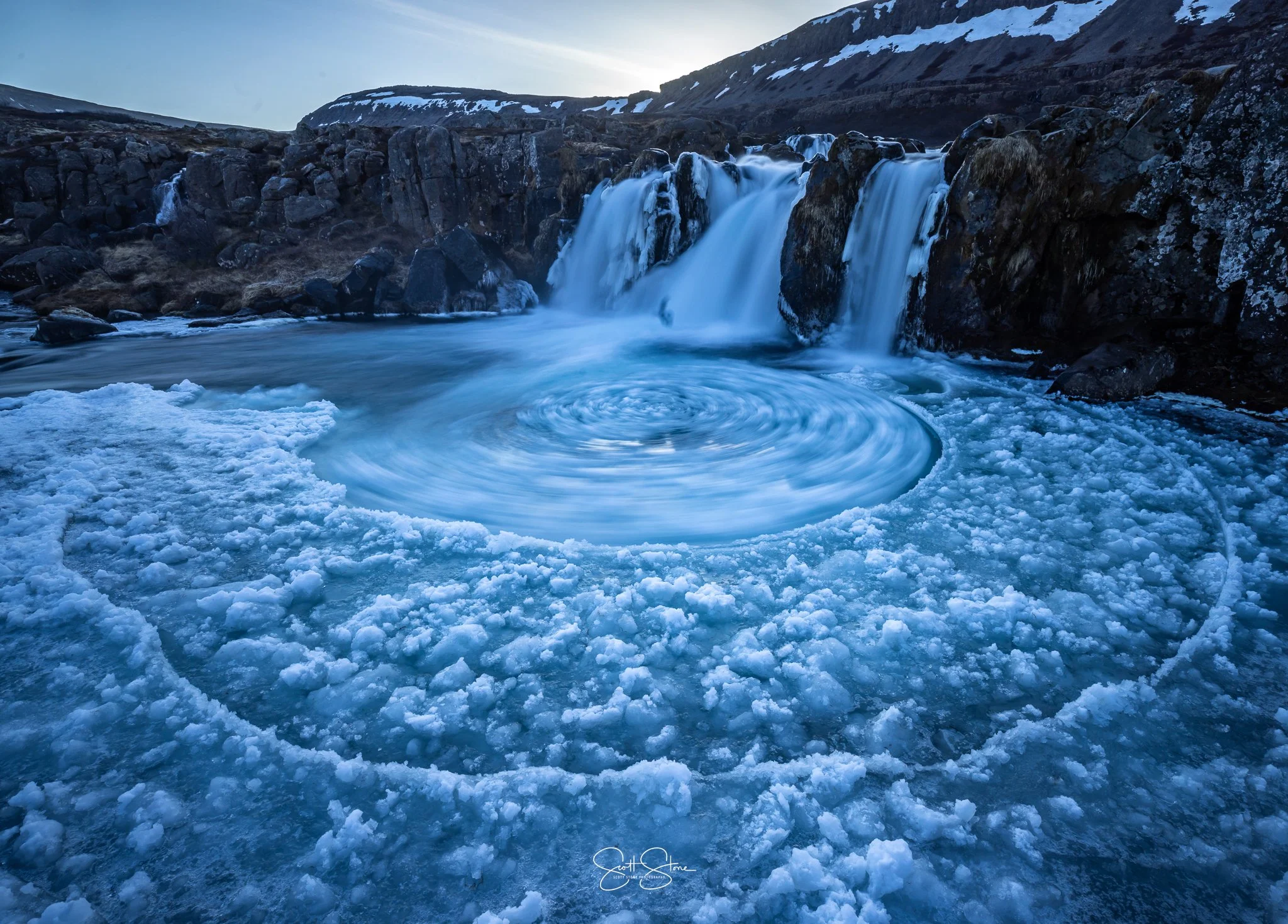 Gallery | Discover Wildlife – Book Today — Scott Stone Photography